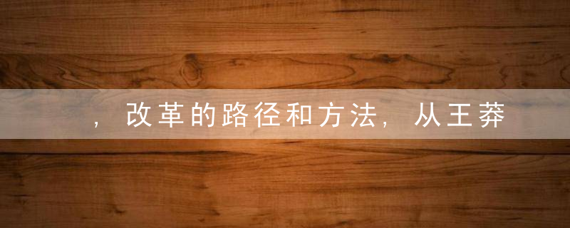 ,改革的路径和方法,从王莽改制说起