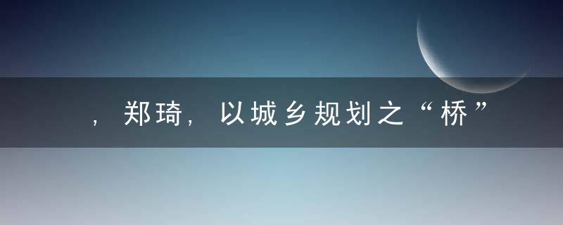 ,郑琦,以城乡规划之“桥”构建共同富裕之“路”