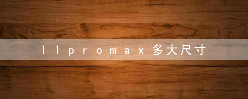 11promax多大尺寸