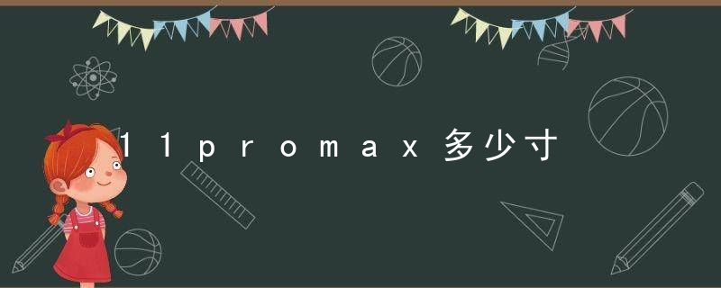 11promax多少寸