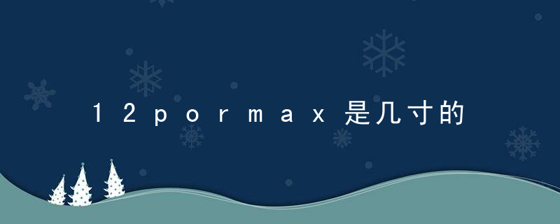 12pormax是几寸的