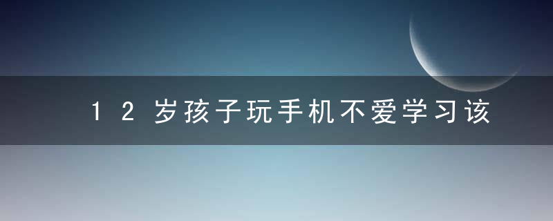 12岁孩子玩手机不爱学习该怎么办