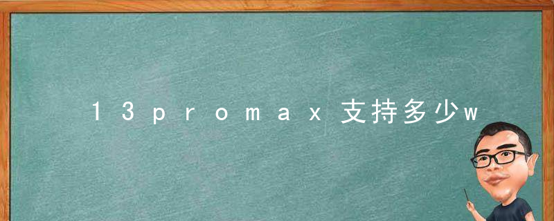 13promax支持多少w快充