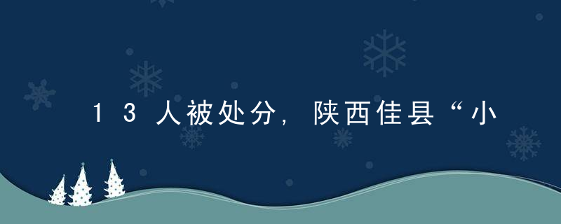 13人被处分,陕西佳县“小雨”事件调查情况公布,近日