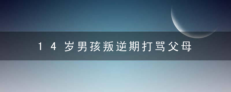 14岁男孩叛逆期打骂父母