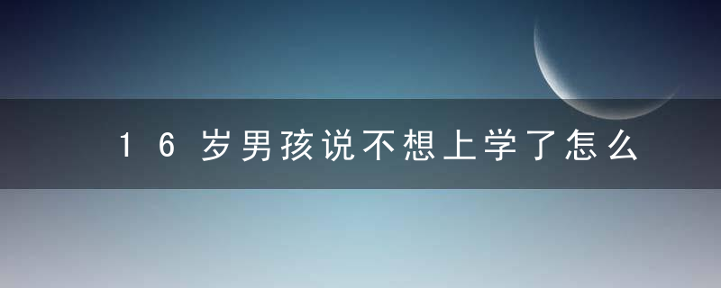 16岁男孩说不想上学了怎么办