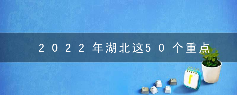 2022年湖北这50个重点项目太牛了吧,聚焦机械电子