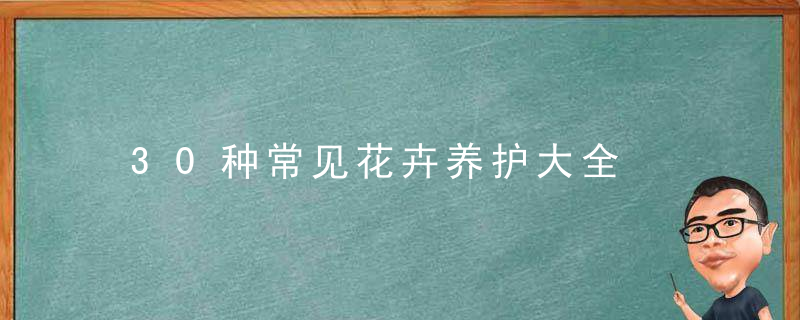 30种常见花卉养护大全