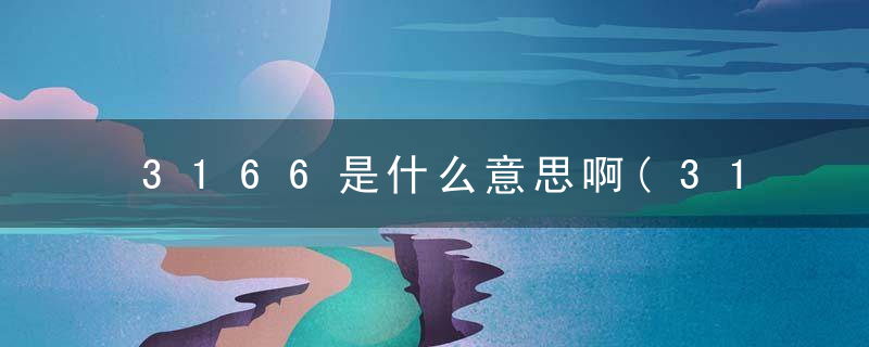 3166是什么意思啊(3166是什么意思啊日文)