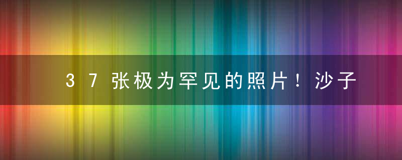 37张极为罕见的照片！沙子放大200倍,简直美到让人