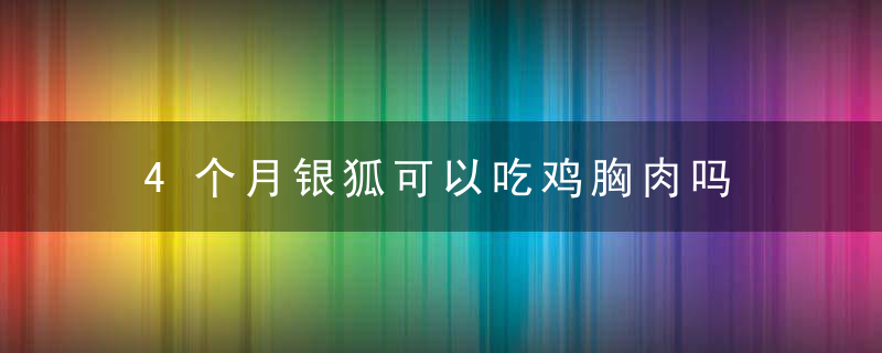 4个月银狐可以吃鸡胸肉吗