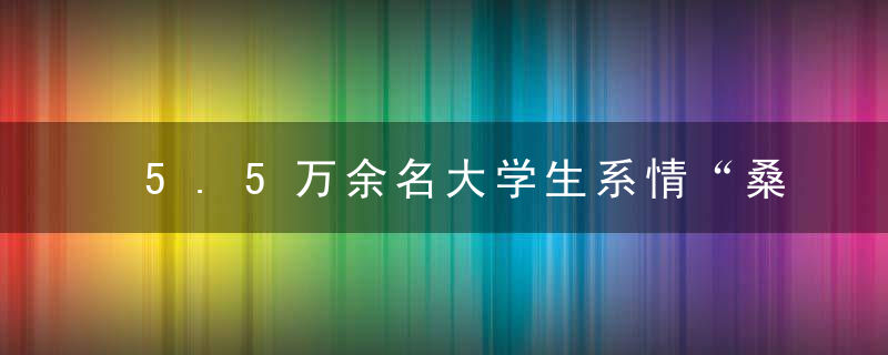 5.5万余名大学生系情“桑梓”在实践中长才干作贡献,