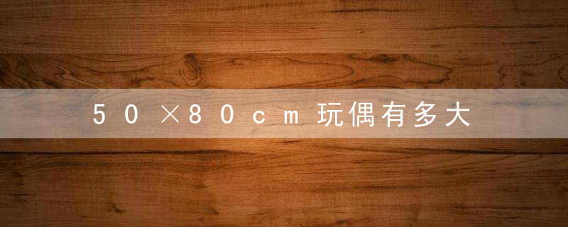 50×80cm玩偶有多大