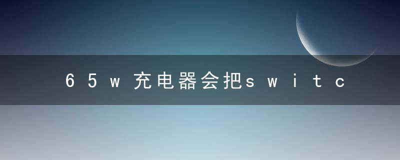 65w充电器会把switch充坏吗