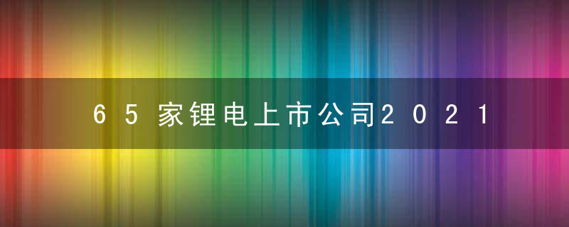 65家锂电上市公司2021业绩盘点,净利实际暴增超7