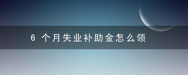 6个月失业补助金怎么领