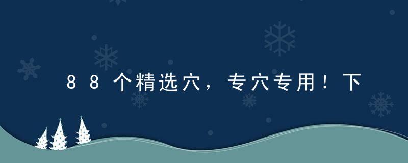 88个精选穴，专穴专用！下