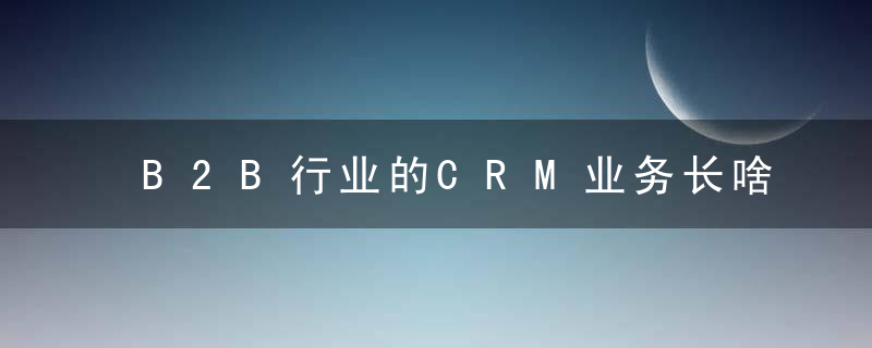 B2B行业的CRM业务长啥样