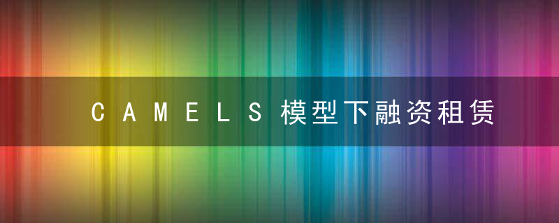 CAMELS模型下融资租赁公司风险管理评估系列四