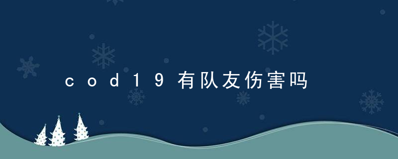 cod19有队友伤害吗