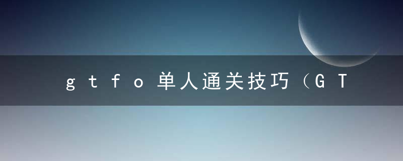 gtfo单人通关技巧（GTFO伤害弱点打破方法）