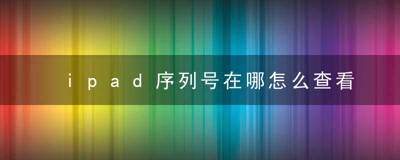 ipad序列号在哪怎么查看