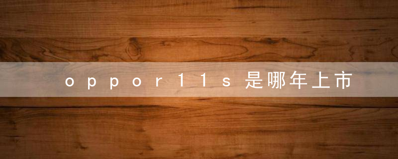 oppor11s是哪年上市的