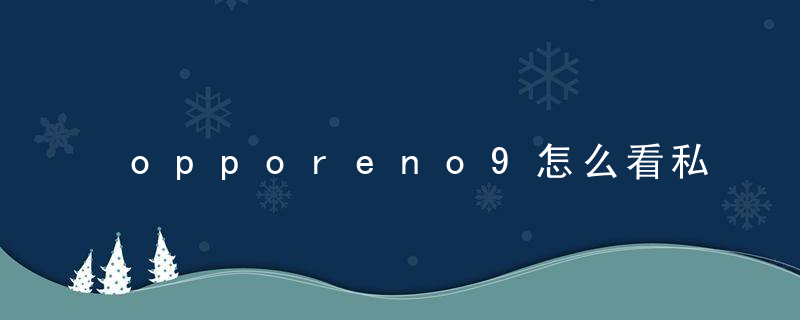 opporeno9怎么看私密相册