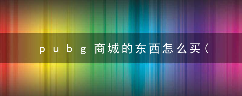 pubg商城的东西怎么买(绝地求生饰品交易全攻略)