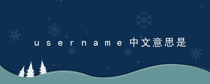 username中文意思是什么