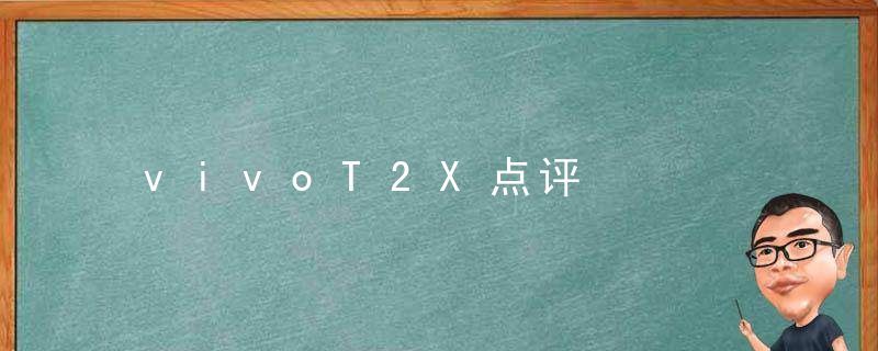 vivoT2X点评