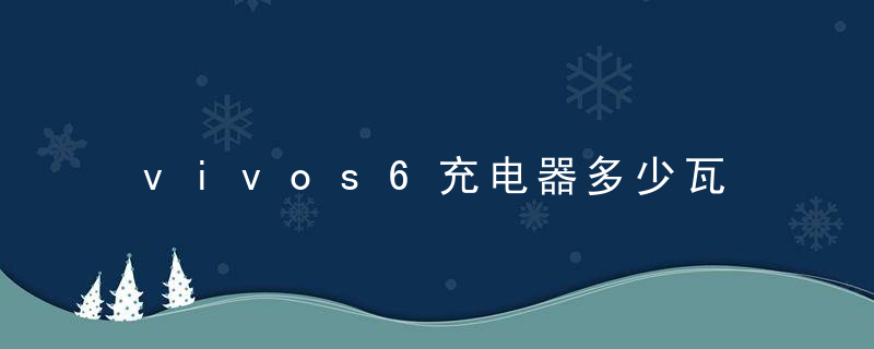 vivos6充电器多少瓦