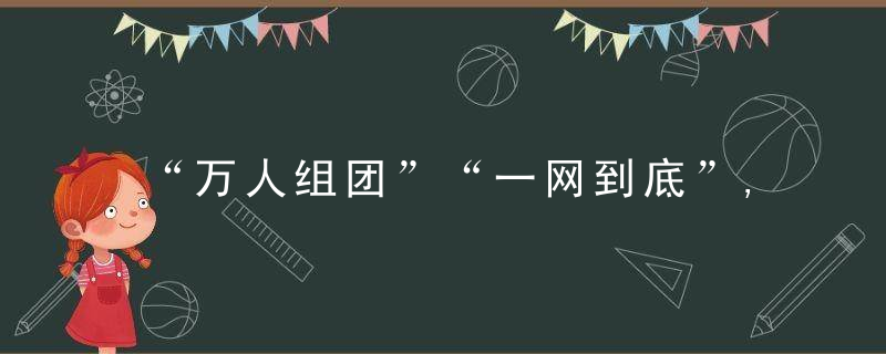 “万人组团”“一网到底”,全要素网格筑起蕞牢防线