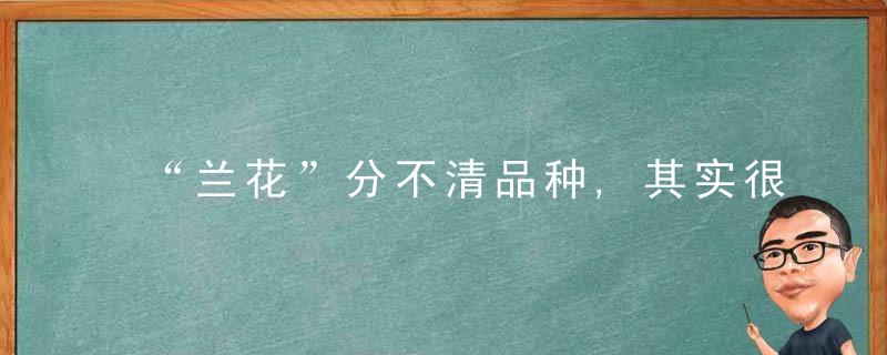 “兰花”分不清品种,其实很简单,看清“这一点”立马能