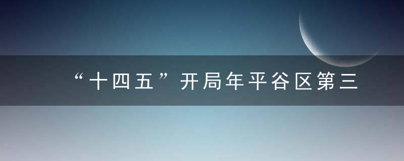 “十四五”开局年平谷区第三产业蓬勃发展