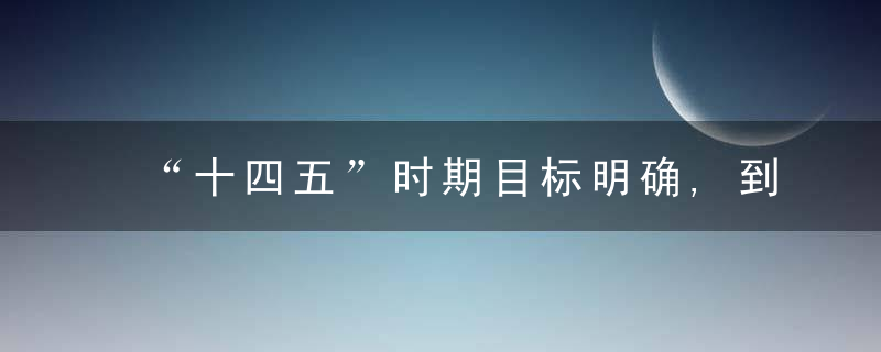 “十四五”时期目标明确,到2025年,将基本建成“生