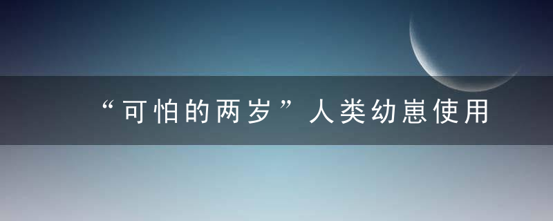 “可怕的两岁”人类幼崽使用说明书