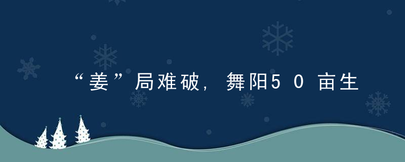 “姜”局难破,舞阳50亩生姜滞销,谁来帮帮忙……