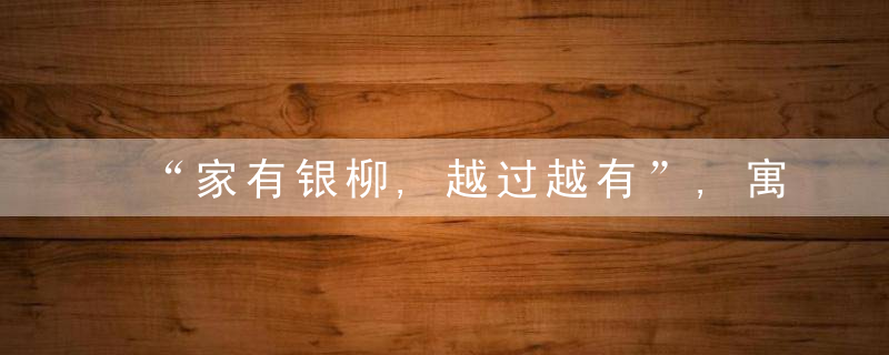 “家有银柳,越过越有”,寓意银两到家,当之无愧的旺财
