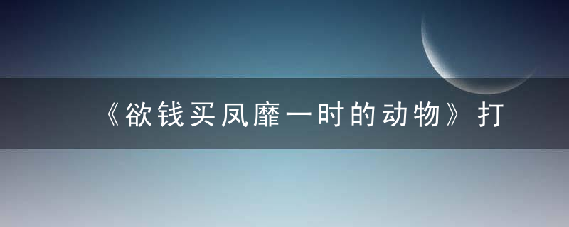 《欲钱买凤靡一时的动物》打一个生肖动物!浙江落实疫情防控措施