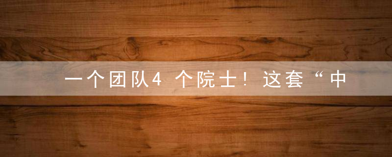 一个团队4个院士!这套“中国方案”,让世界点赞!