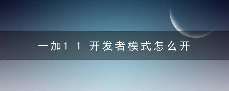 一加11开发者模式怎么开