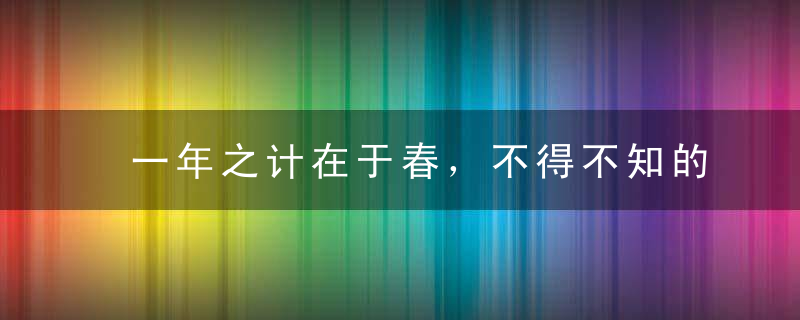 一年之计在于春，不得不知的春季养生常识，一年之计在于春的翻译