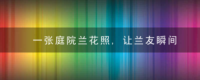 一张庭院兰花照,让兰友瞬间明白,春兰和蕙兰蕞准确的区