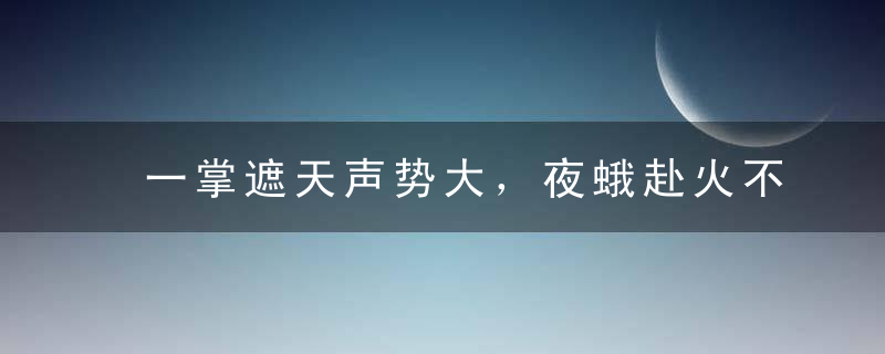 一掌遮天声势大，夜蛾赴火不自量是什么生肖（曝南宁疫情防控闻）
