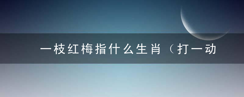 一枝红梅指什么生肖（打一动物生肖）揭晓曝出1月12日深圳疫情