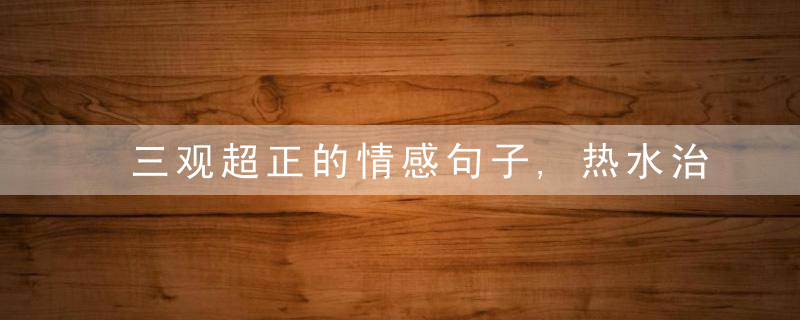 三观超正的情感句子,热水治不了百病,情话过不了一生,