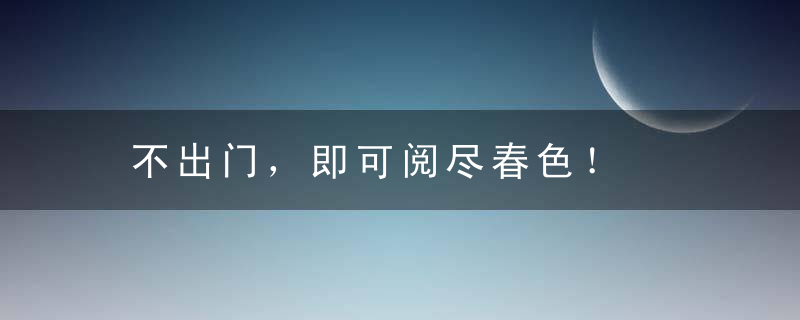 不出门，即可阅尽春色！