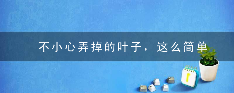 不小心弄掉的叶子，这么简单处理下，又是一大盆！