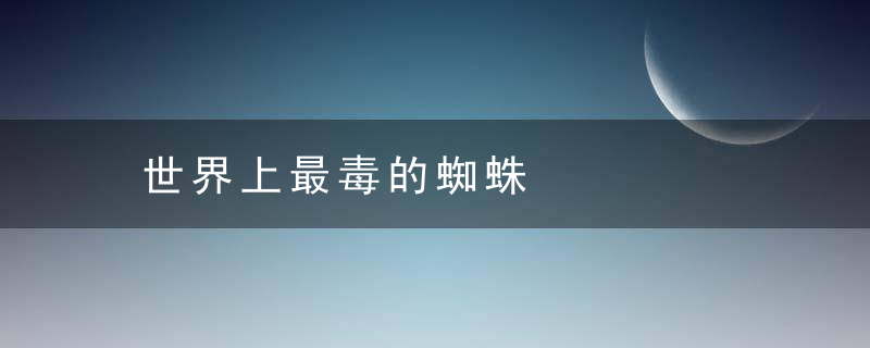 世界上最毒的蜘蛛